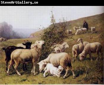 unknow artist Sheep 165